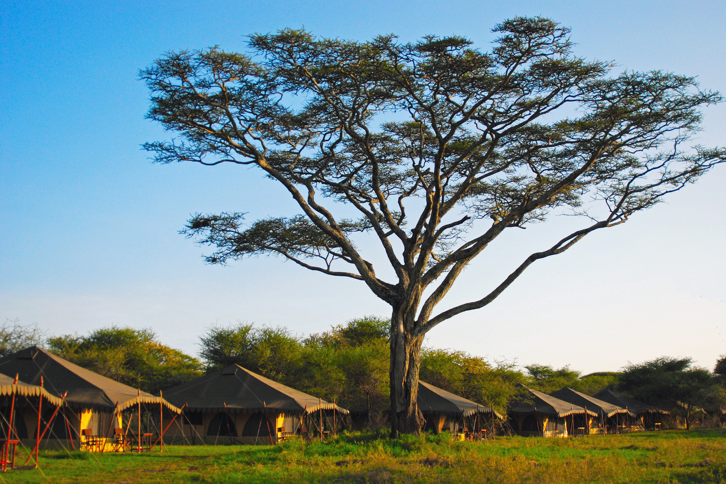 kibo camp (4).webp